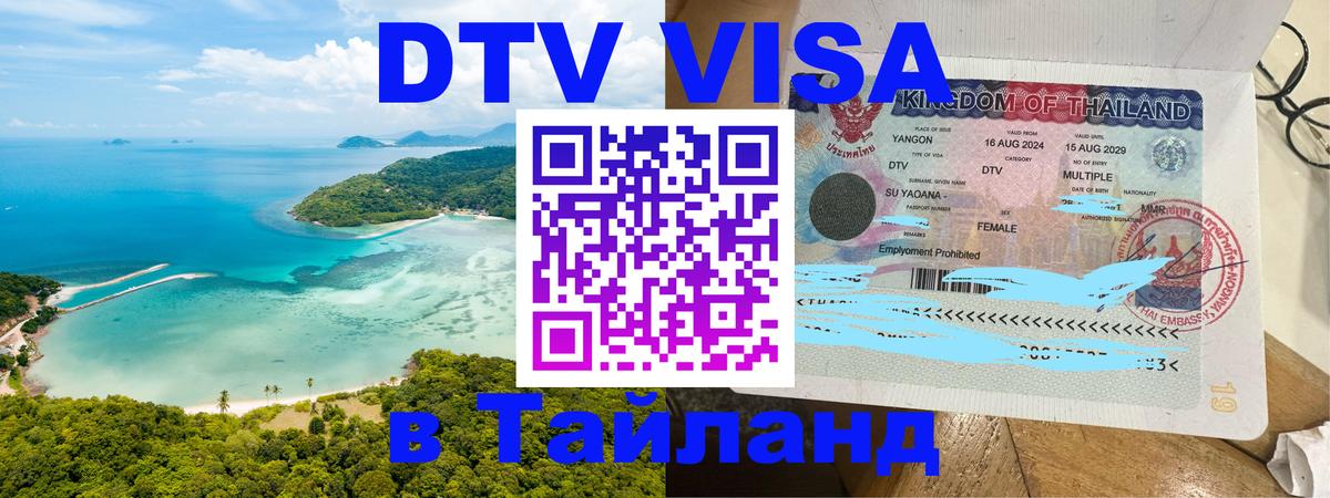 Сколько стоит DTV виза — актуальные цены, оформление даже без документов - Бердск 